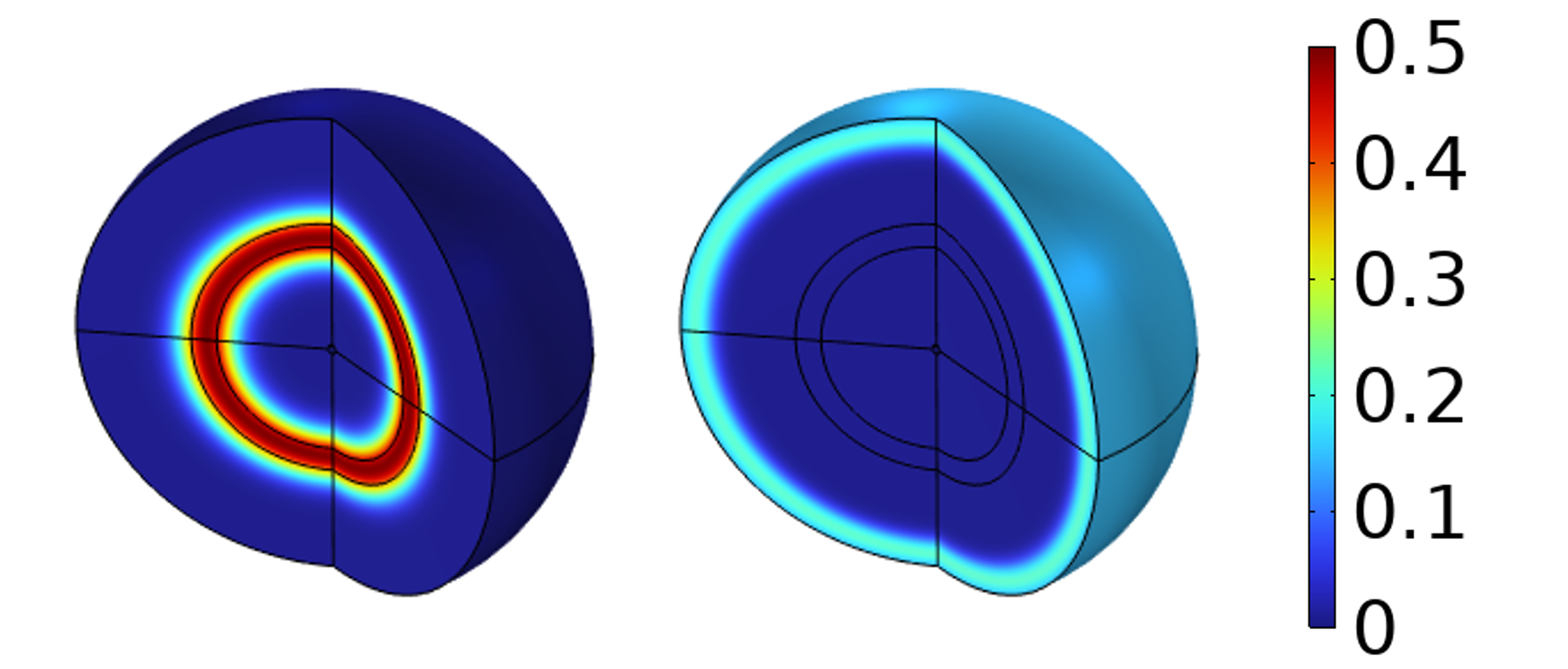 Multiphysics tumour transport simulation